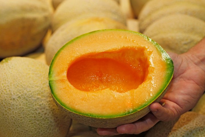 Six deaths now reported in cantaloupe salmonella outbreak: PHAC