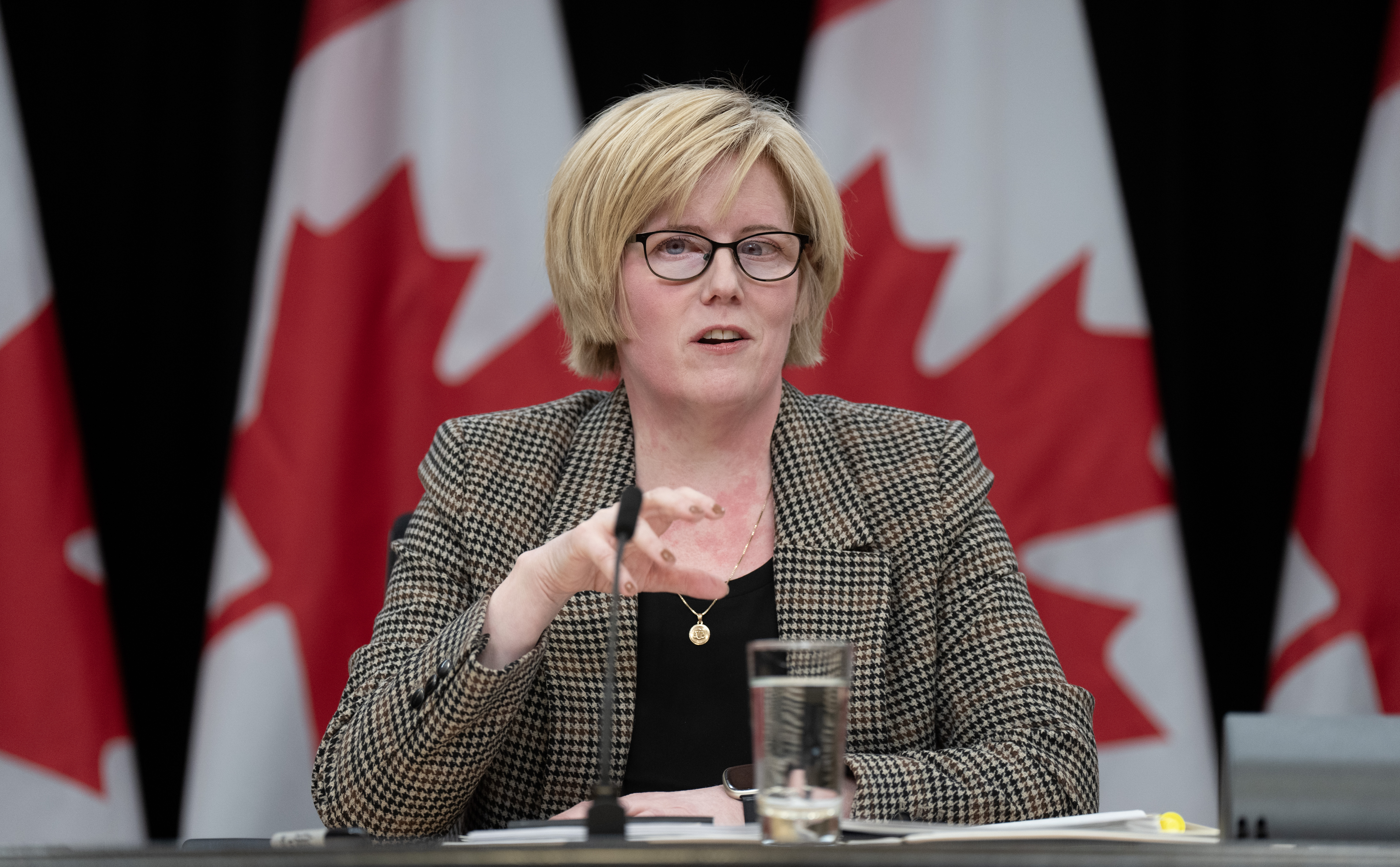 Министърът на спорта на Канада обяви национална комисия която да