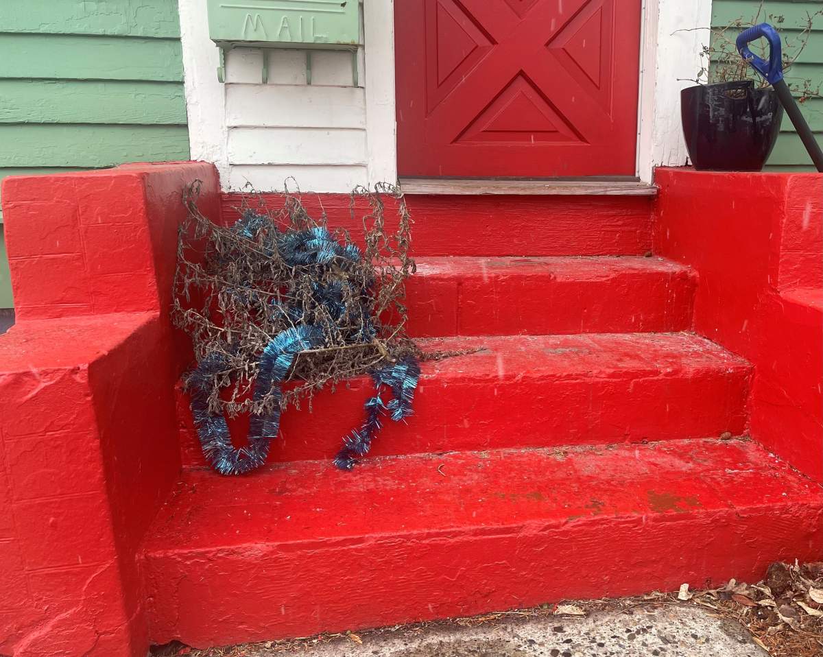 Julie Van Rosendaal rescued the Christmas Weed from the gutter.