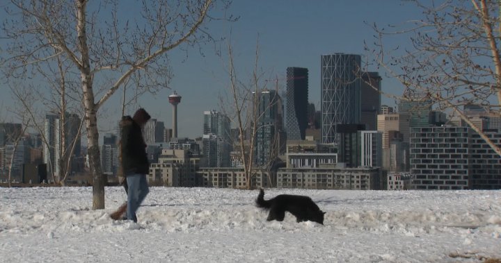 Environment Canada издаде предупреждение за снеговалеж за град Калгари и