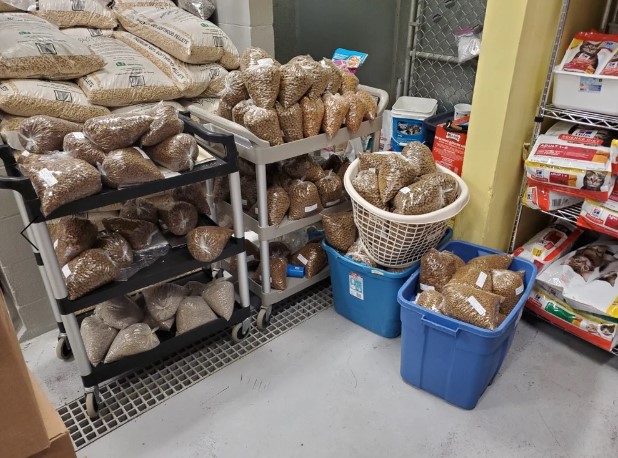 Търсенето на храна в хранителните банки на BC SPCA се