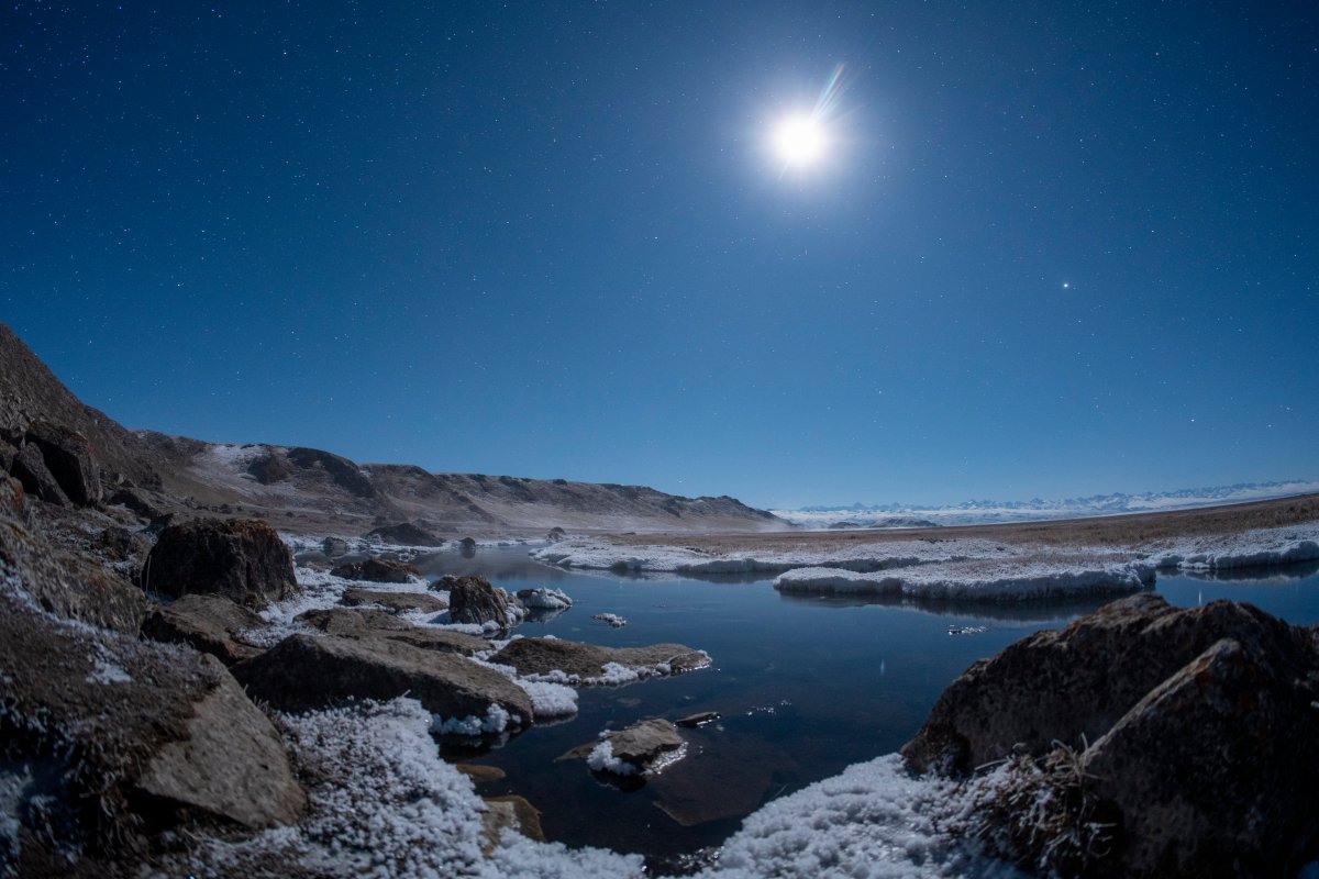 Geminid meteor shower set to light up skies. Here’s how you can see it