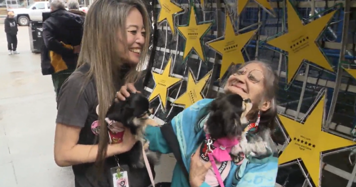 „Магическите“ кучета Мъфин и Къпкейк носят топлина на пациентите на болницата във Ванкувър