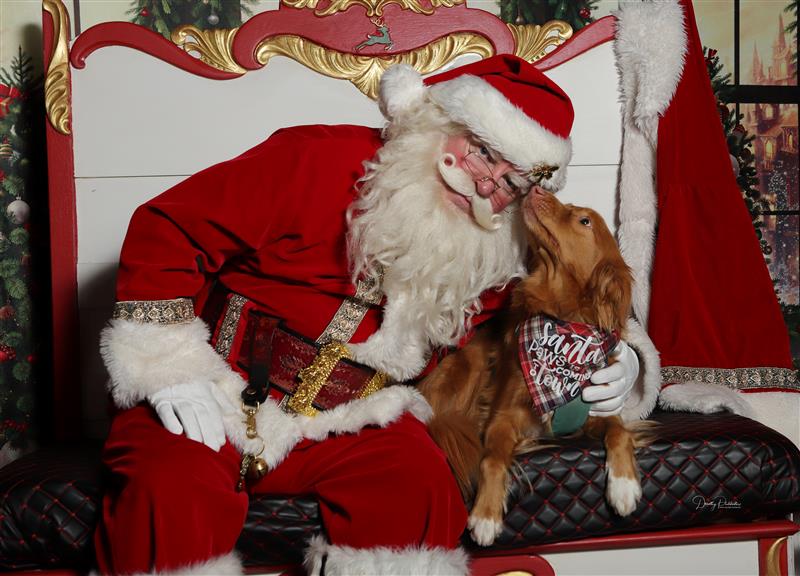 — James A., Toronto