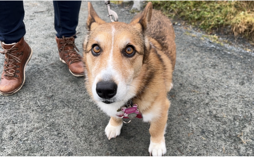 С наближаването на тазвечерните новогодишни тържества — а някои вече