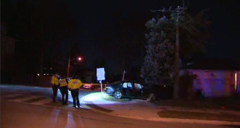 Toronto police were investigating after a driver crashes into a tree on Thursday evening.
