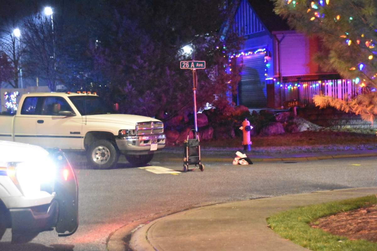 RCMP are asking for the public's help to identify a pedestrian who was struck in Langley on Monday afternoon.