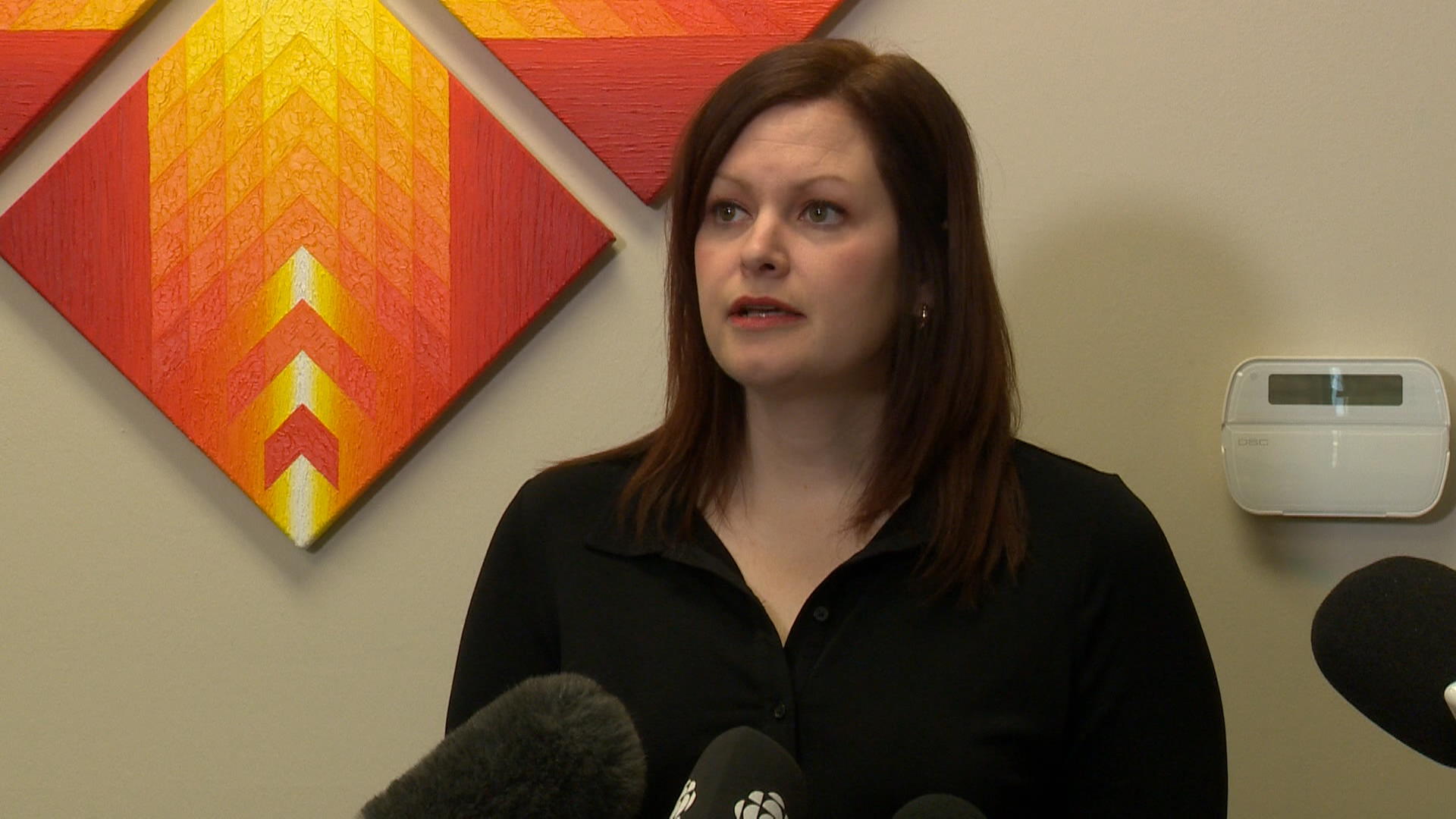 Sask. NDP highlights mother-child service disruptions in hospitals