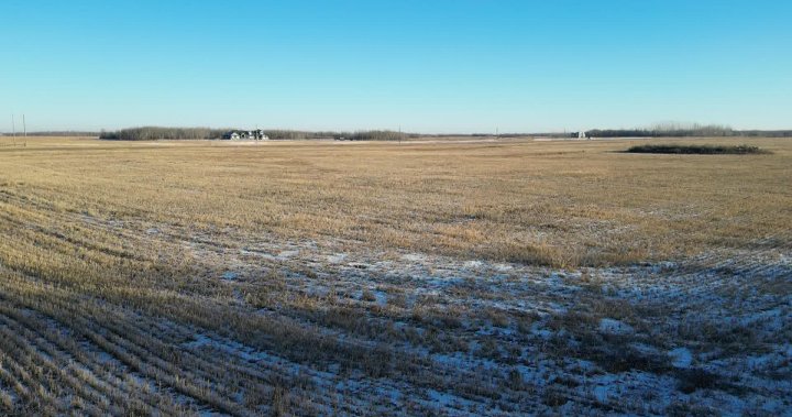 Фермерите в Саскачеван се надяват, че пролетните валежи ще компенсират липсата на сняг