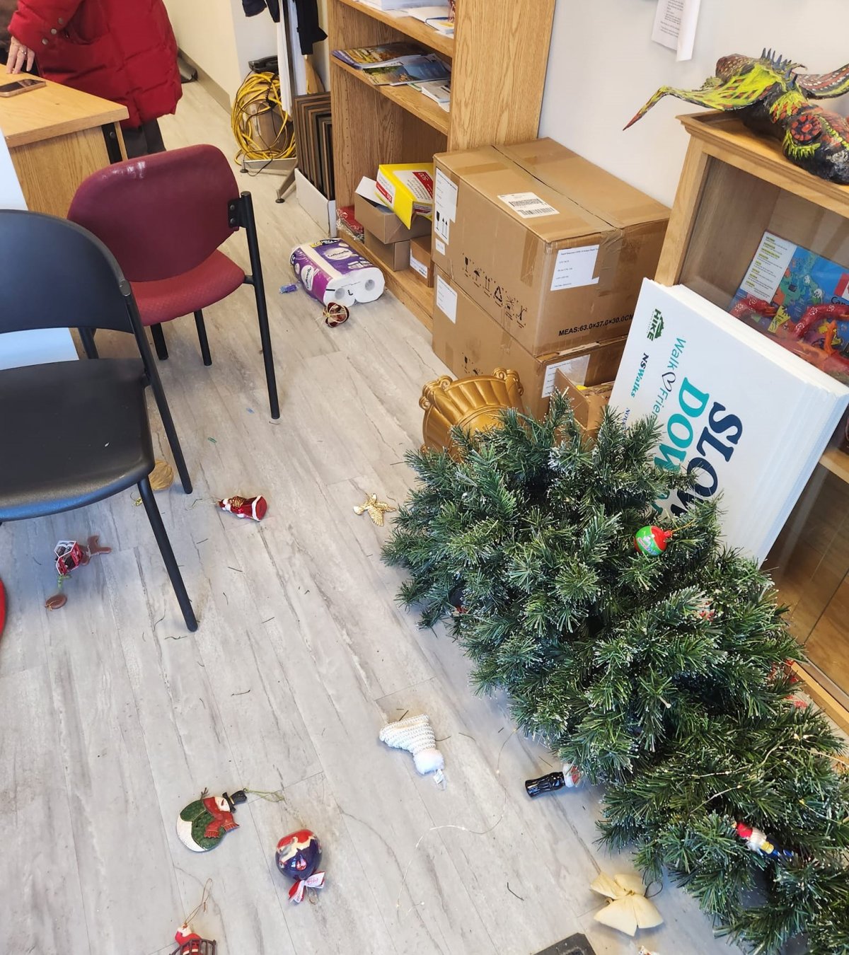 In a Facebook post from Nova Scotia Liberal MLA Brendan Maguire, a tree is shown knocked over as ornaments are scattered across the floor following an alleged assault at his constituency office.