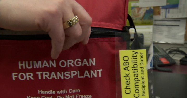 加拿大器官捐赠和移植恢复到疫情前水平