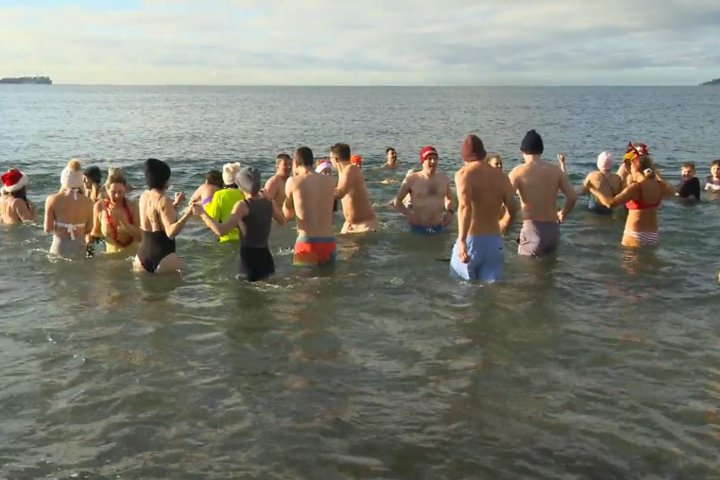 North Shore fundraiser ‘Plunge for Purpose’ works to support families in need