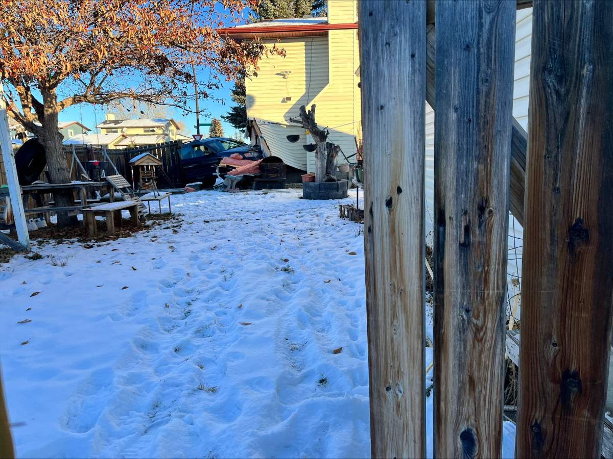 A Subaru Outback crashed into a home in the 4200 block of Whitehorn Drive Northeast on Tuesday morning.