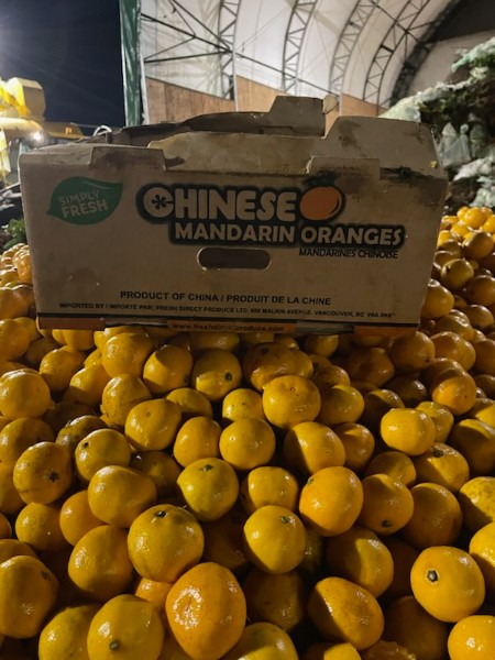 Oranges dumped at the North Vancouver transfer station.