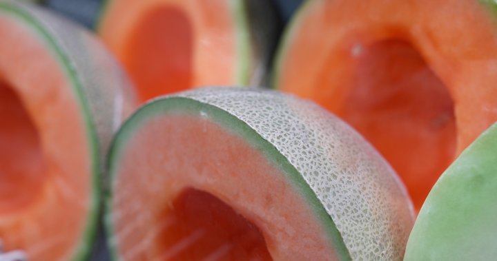 7th Canadian dies from cantaloupe salmonella outbreak, PHAC says