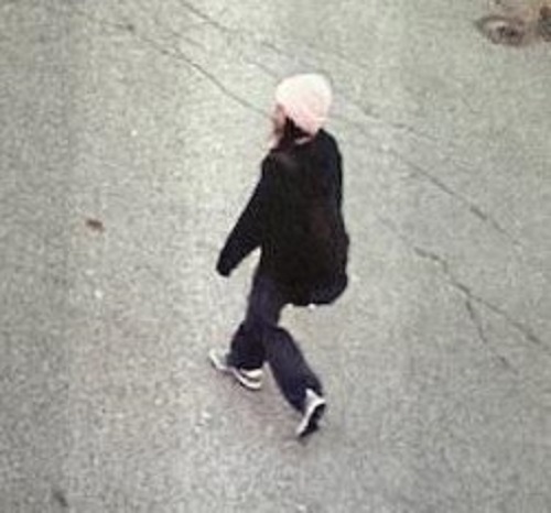 RCMP в Съри Британска Колумбия моли за помощ от обществеността