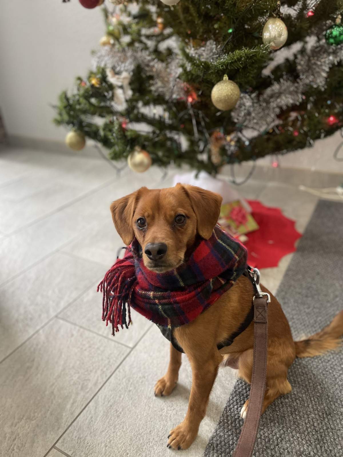 —Jenn Matthews, Kirkland, Que.