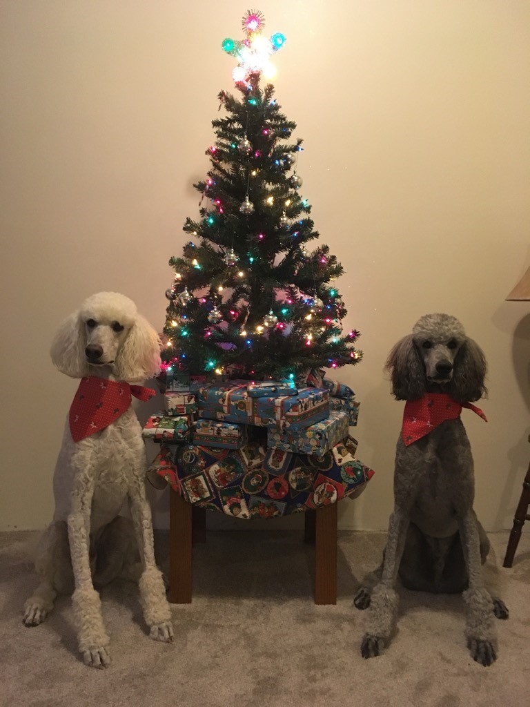 —Heather and Dave, Calgary, Alta.