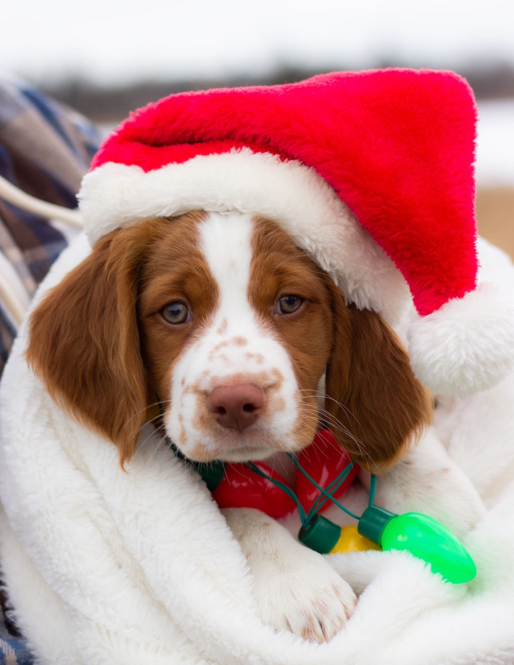 —Meghan Reichert, Leduc, Alta.