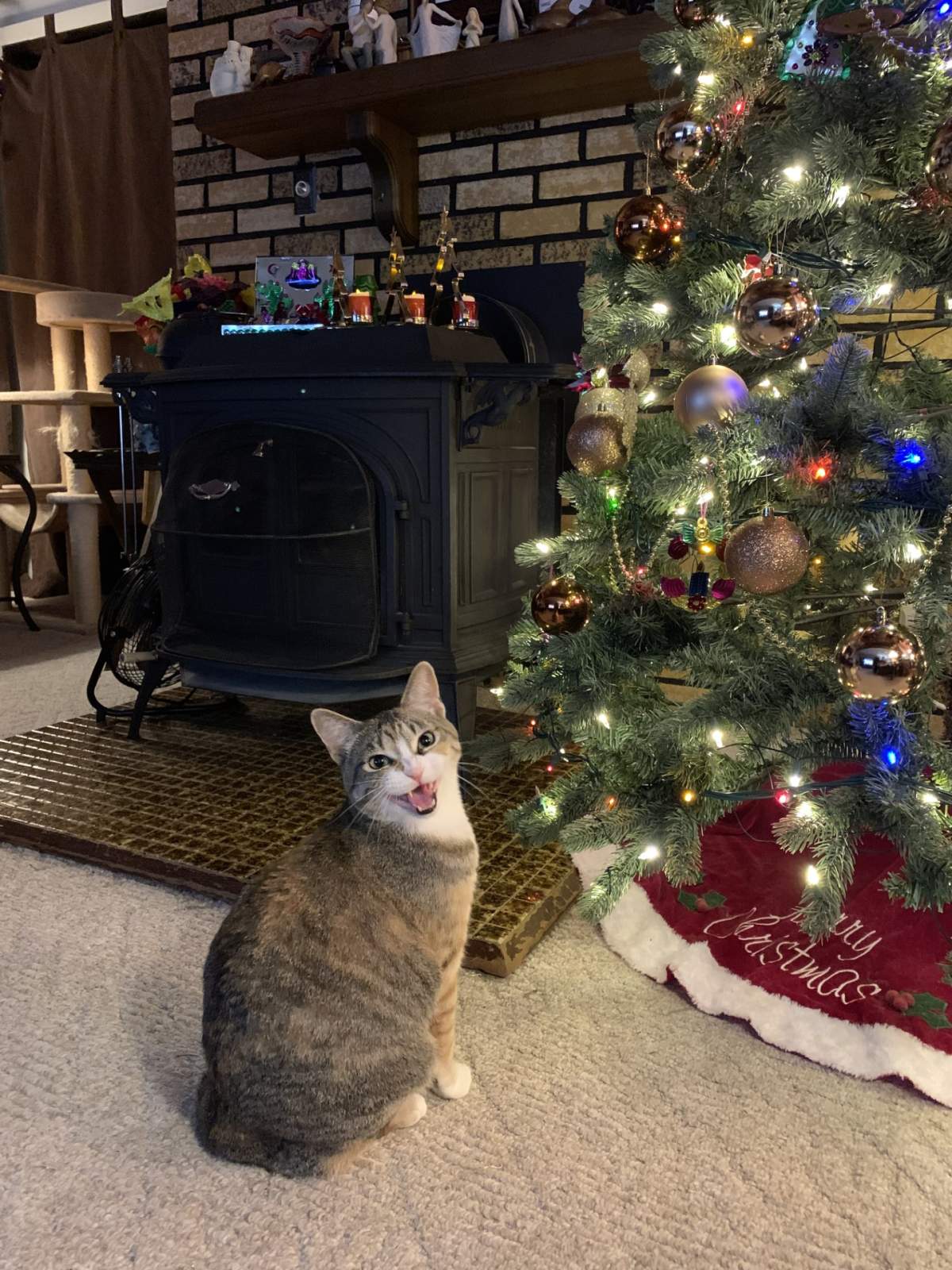 —Karla Gonsen, Darwell, Alta.