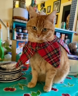 —Jen Mansell, East Vancouver, B.C.