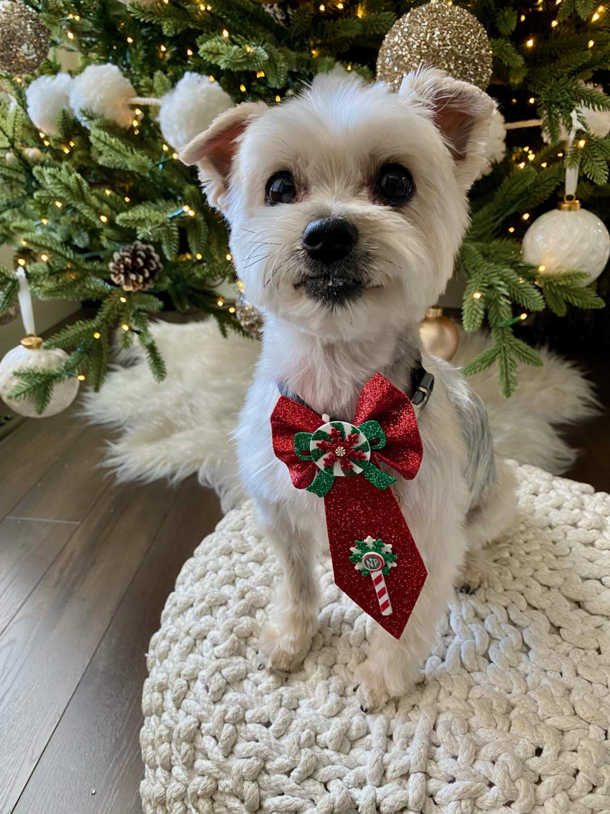 —Lynn Breakey, Osoyoos, B.C.