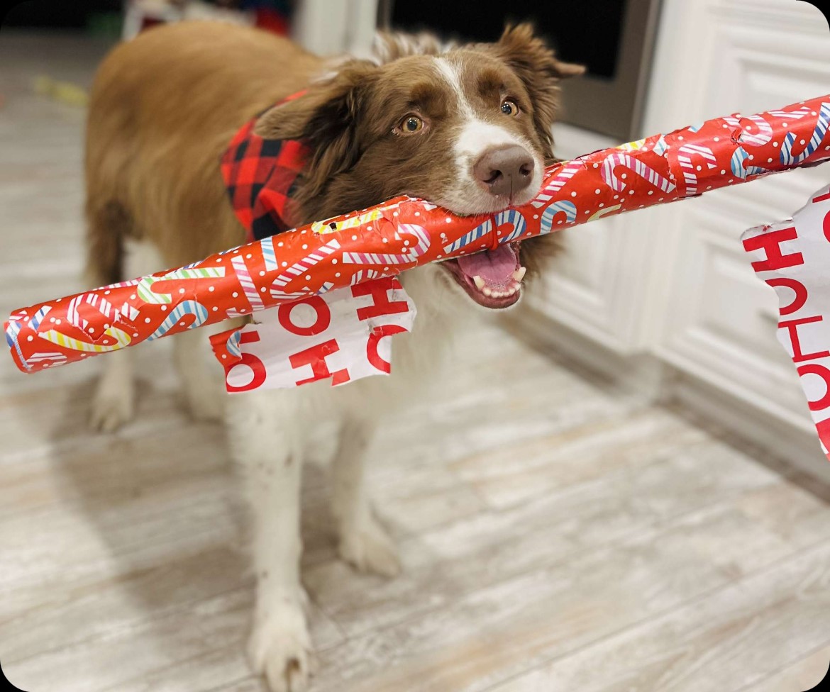 —Brandy-Lee Smith, Brockville, Ont.