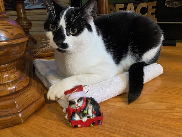 —Dawn Dobni, Saskatoon, Sask.