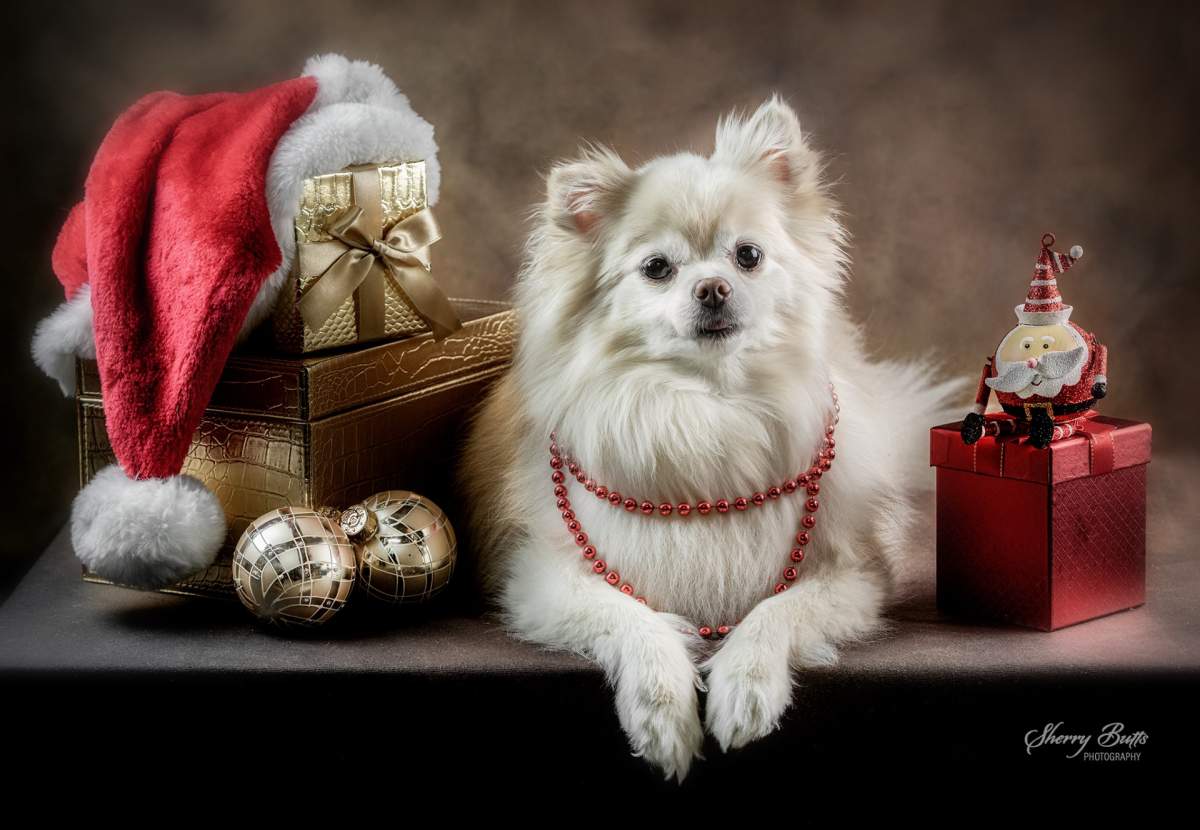 —Erin Vandaele, Komoka, Ont.