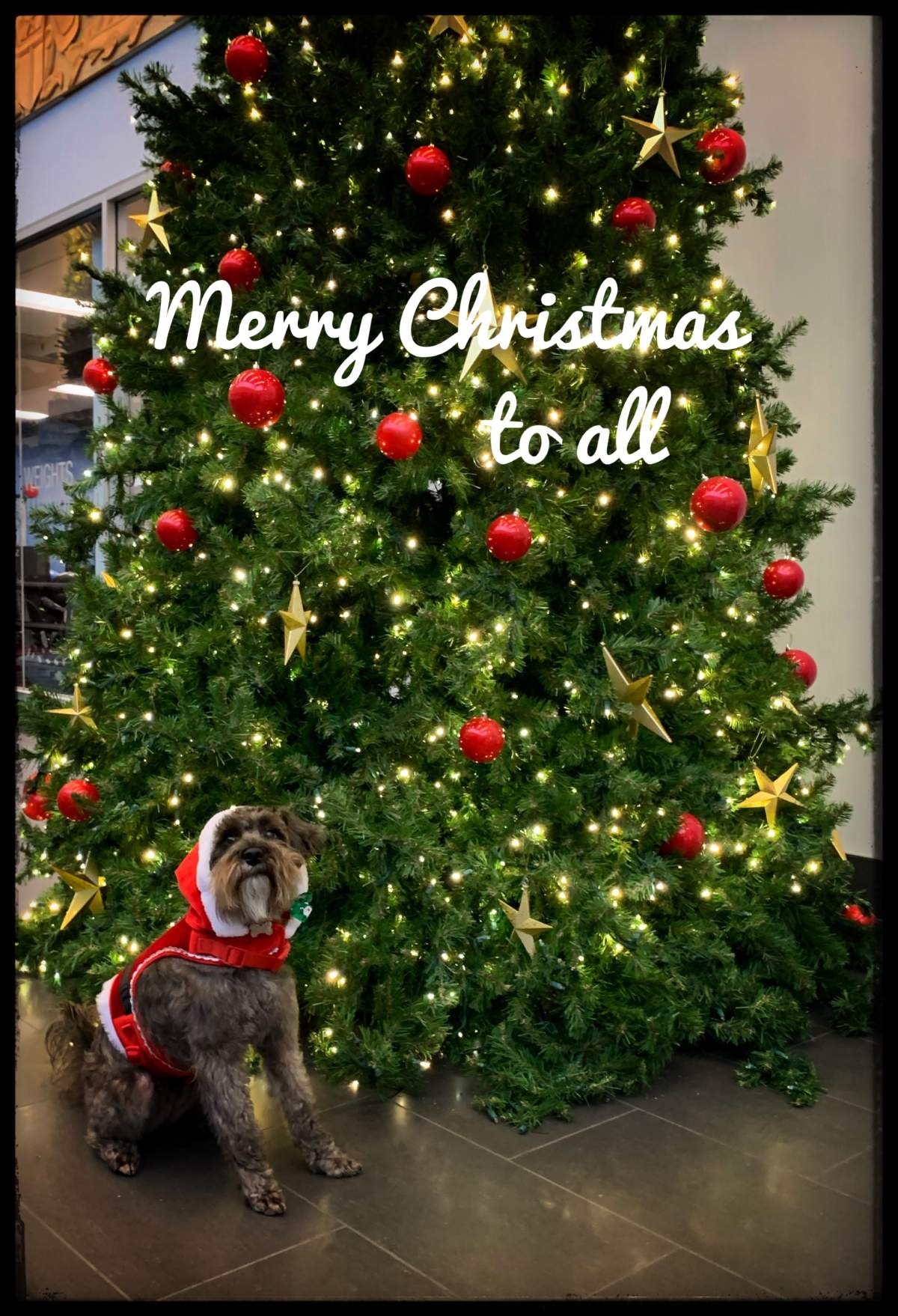 —Tim Attwood, Langley, B.C.