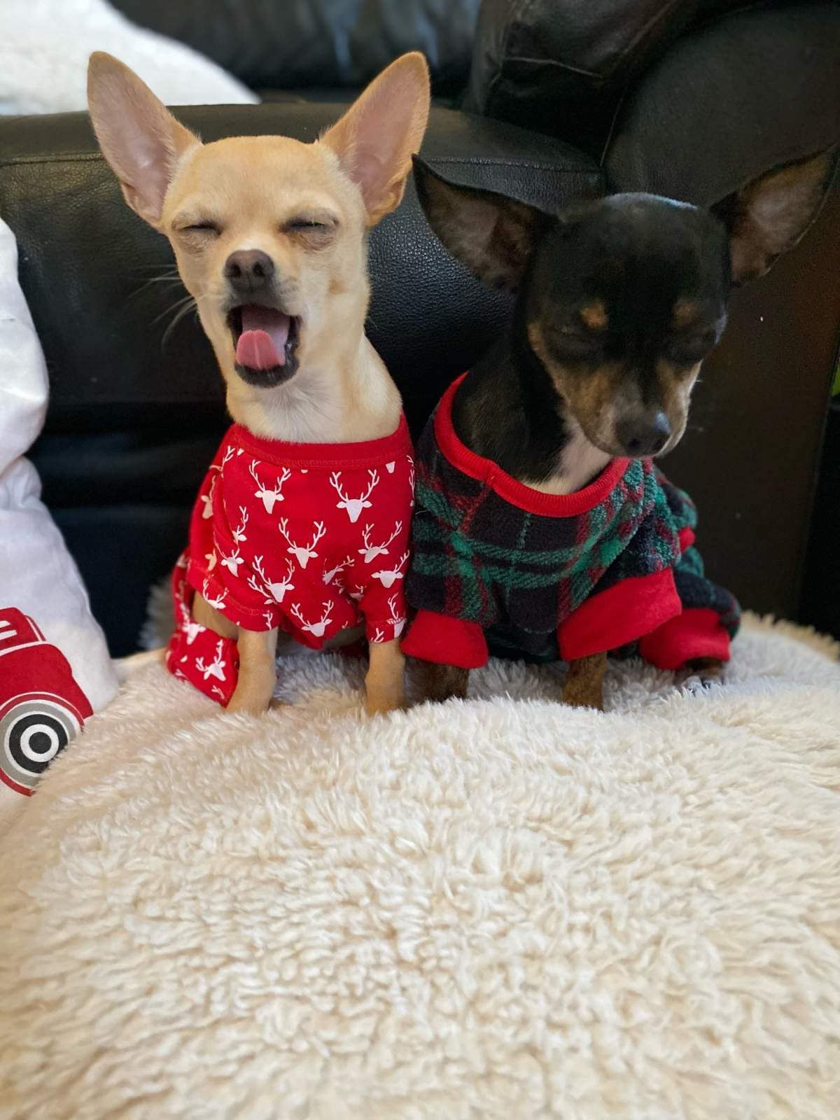 —Nicolette Guillou, Calgary, Alta.