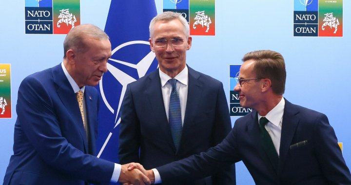 Turkish committee approves Sweden’s NATO bid. What’s next? 