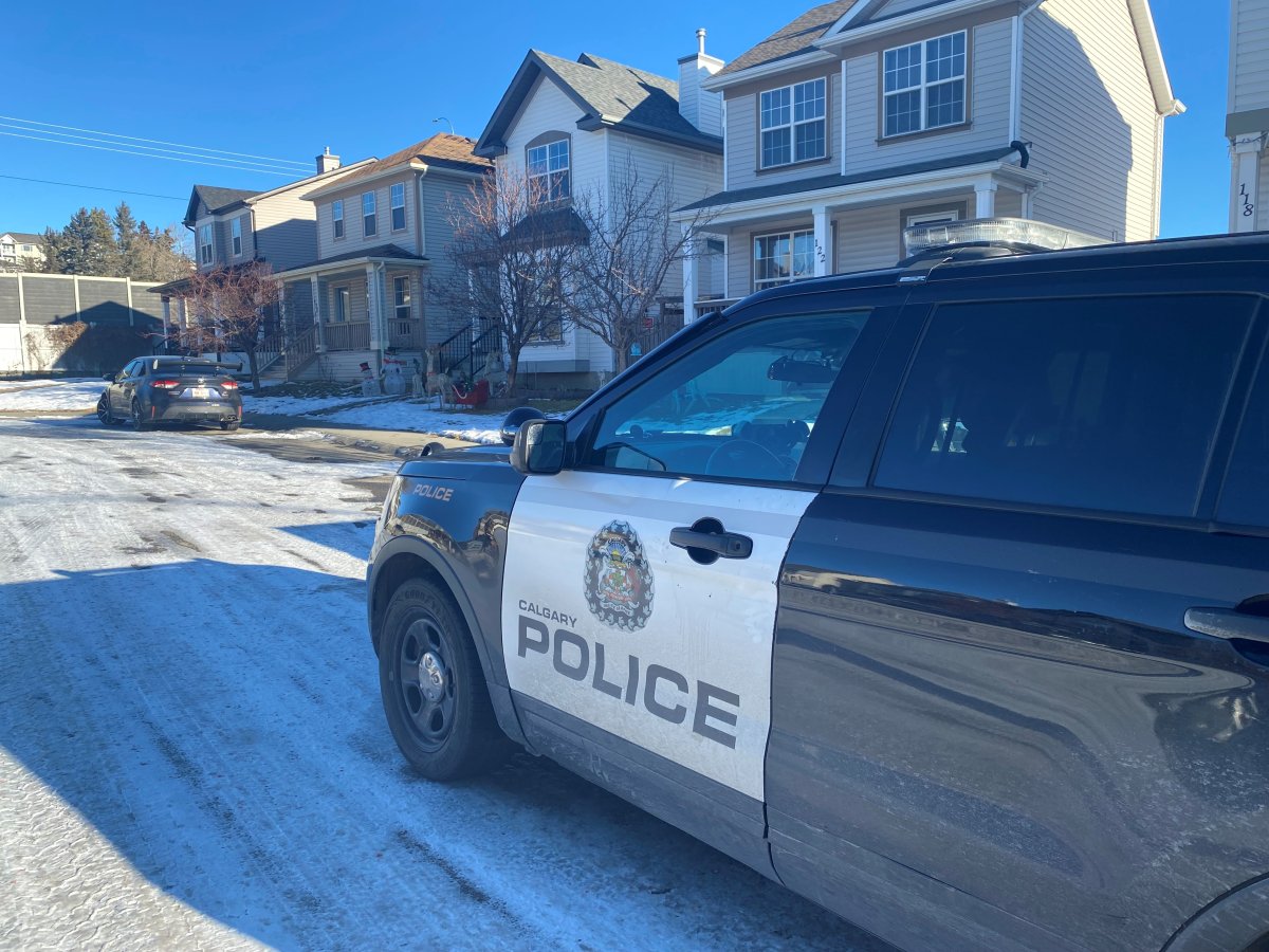 Calgary police, EMS and a City of Calgary peace officer responded to a Tuscany home on Dec. 28 after an adult suffered a dog bite and was taken to hospital.