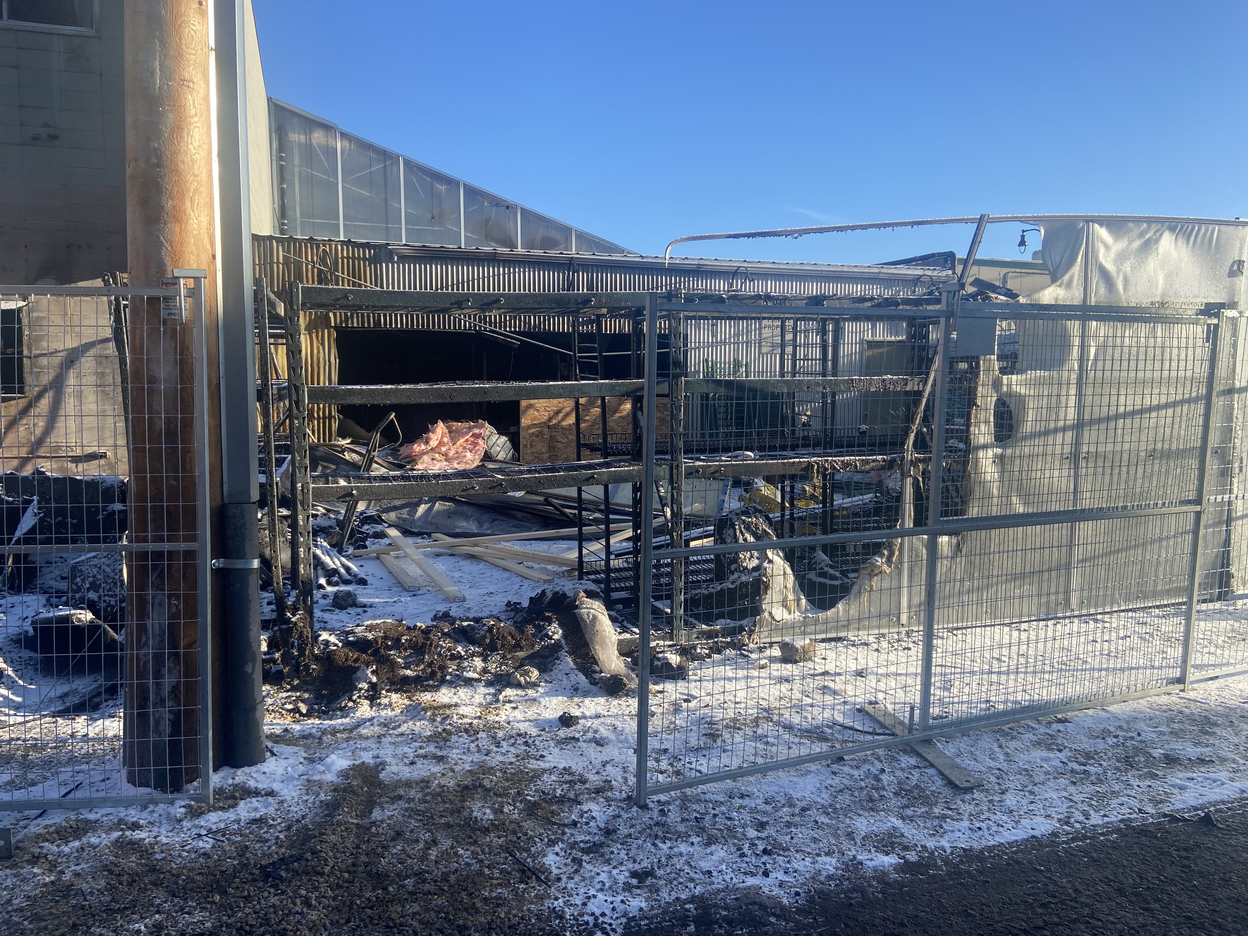 Членовете на общността на Бойл Макколи в Едмънтън бяха опустошени