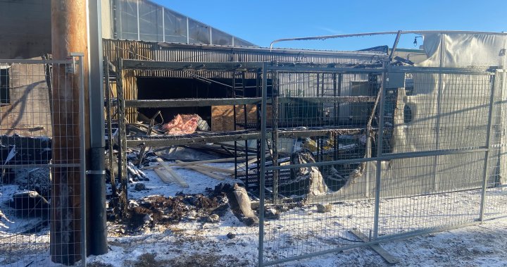 Пожар нанася щети на „центъра на общността“ в Едмънтън, но собственикът на Zocalo е подкрепен от подкрепа