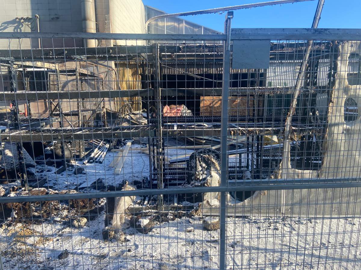 Zocalo cafe and greenhouse destroyed by fire.