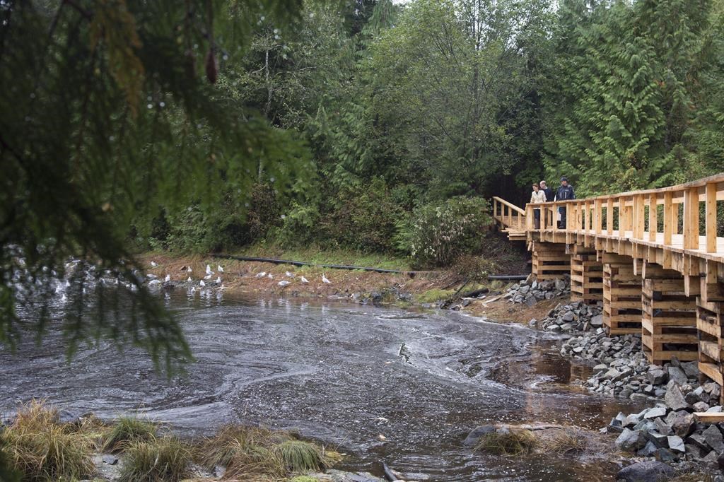 Група за опазване на Британска Колумбия казва че е закупила