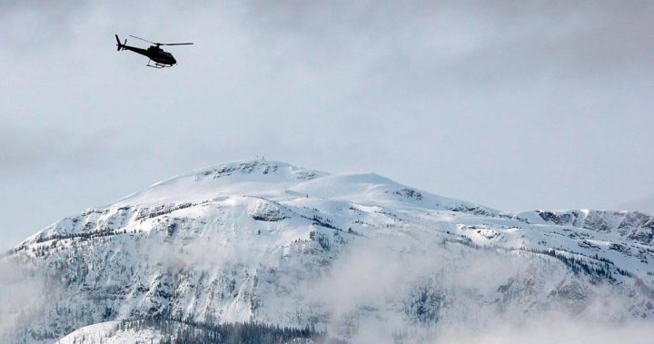 Един човек загина след като хеликоптер се разби близо до Ревелстоук, Британска Колумбия