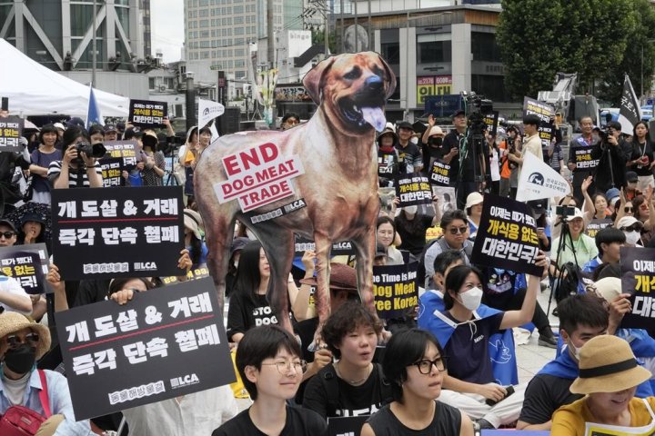 South Korea unanimously passes law to ban dog meat production and sale