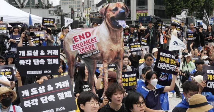 Южна Корея единодушно прие закон за забрана на производството и продажбата на кучешко месо