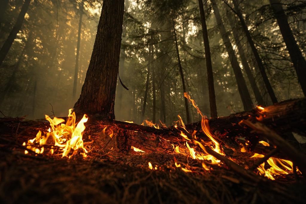 Canada’s upcoming wildfire season could be worse than last year, Sajjan warns