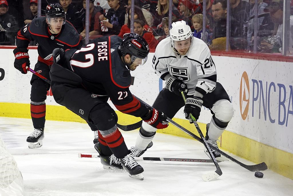 Los Angeles Kings' Jaret Anderson-Dolan (28) controls the puck with Carolina Hurricanes' Brett Pesce (22) reaching in during the first period of an NHL hockey game in Raleigh, N.C., Monday, Jan. 15, 2024. (AP Photo/Karl B DeBlaker).