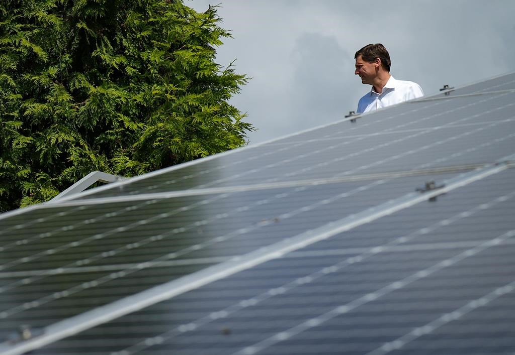 B C Премиерът Дейвид Иби обяви натиск за разширяване на електроенергийната