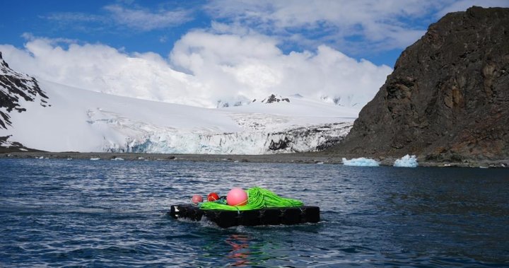 卑诗省科学家助力开发对南极洲海域的认识