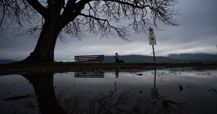 Предупреждения за наводнения, проливен дъжд, обхващащи остров Ванкувър до долината Фрейзър