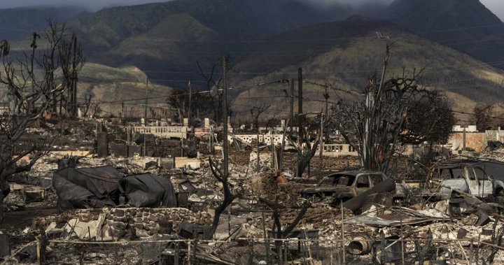 Последната от 100 известни жертви на горския пожар в Мауи, идентифицирана като 70-годишна жена