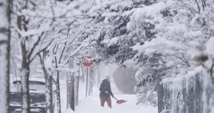 „Много значителен“ снеговалеж идва за части от Нова Скотия: Environment Canada