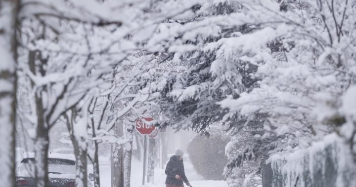 Повече сняг се прогнозира за Нова Скотия като 30 сантиметра се очаква в средата на седмицата