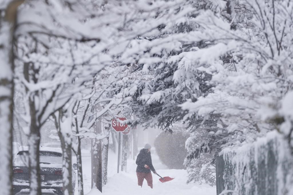 More snow forecasted for Nova Scotia as 30 centimetres expected mid-week