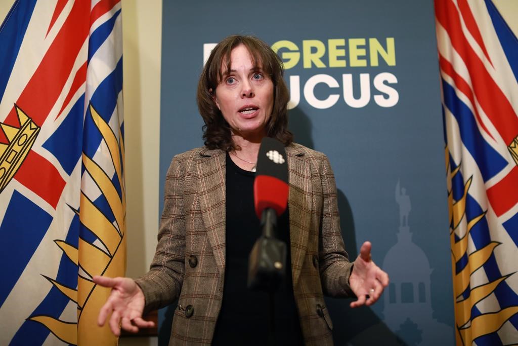 BC Green Leader Plans To Switch Ridings In Provincial Election - BC ...